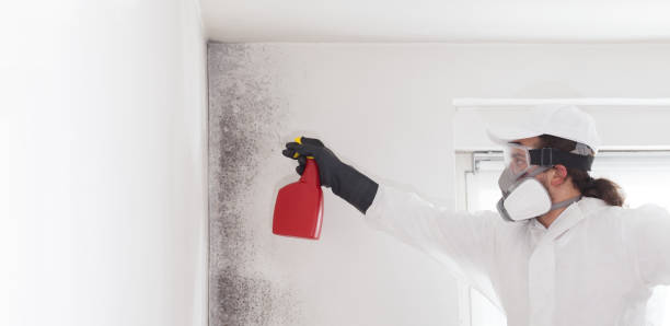 Best HVAC Mold Remediation in Weyauwega, WI